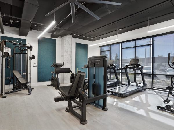 Modern gym with large windows, treadmills, weight machines, and exercise equipment on a light floor at The Hendrey.